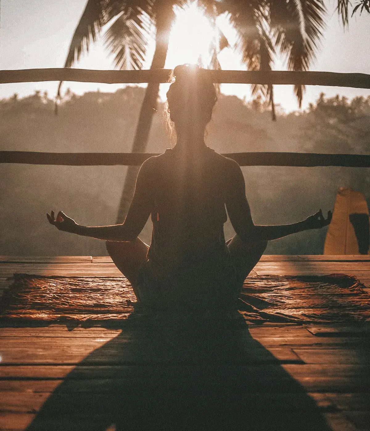 DEXAFIT Longevity — person meditating at sunrise